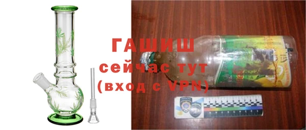 гашик Костерёво